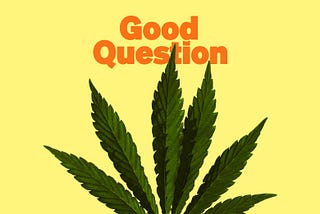 Can I Overdose on Cannabis?