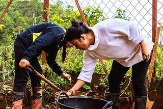 Volunteer Vacation at a Sustainable Farm in Colombia