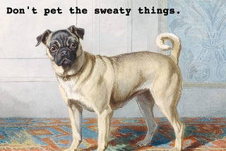 Don’t pet the sweaty things.
