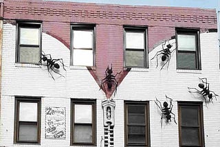 A building with a clothing store on the first floor and giant plastic ants crawling up the wall above it. The bricks are painted to look like an open zipper.