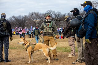Meet the Watchdogs Exposing the Capitol Rioters