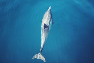High-speed inserts with MySQL
