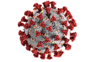 What the Coronavirus Image You’ve Seen a Million Times Really Shows