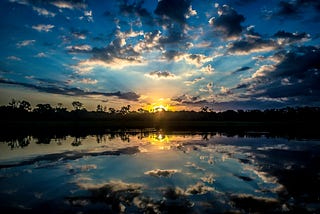 My Journey Into Photography: From Digital Beginnings To Film Exploration