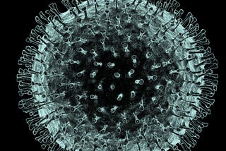 A photo of a coronavirus.