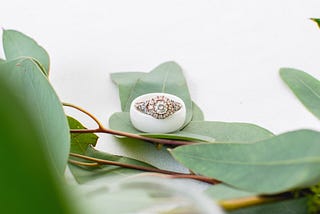 A golden feminine engagement ring studded with a halo of diamonds is nestled on top of a white masculine wedding ring on in the center of the frame with leaves scattered along the bottom half of the frame.