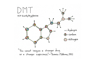 DMT Is the Drug for Our Collective Crisis of Meaning