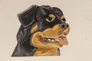 Drawing of a Rottweiler