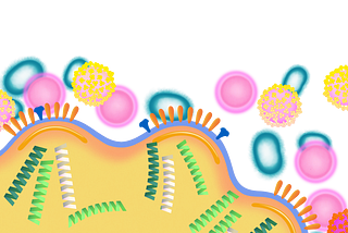 Inside the Making of the Flu Vaccine