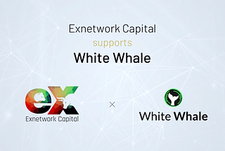 Exnetwork Capital Welcomes New Investment White Whale