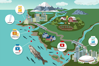 A new model for assessing the risk of pharmaceuticals to fish