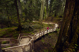 Nature Can Help Get Us Through This Mental Health Crisis