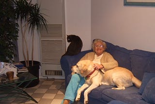 An image of an elderly woman sitting on a blue couch with a yellow Labrador. There is also a grey cat sitting to the right of the woman, and a black Labrador on the tiled floor. The woman is smiling at the camera.