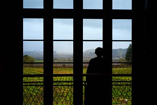 A silhouetted woman looks out a window at a vineyard at a Napa winery.