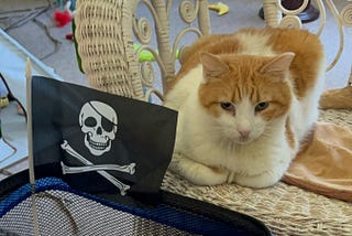 We Installed a Jolly Roger Flag on KitKats Stroller — I Mean Boat 🛥️