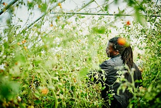 The Black Men Behind Social Media’s Great Gardening Explosion