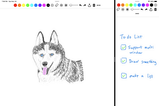 Drawing with multiple windows on the iPad