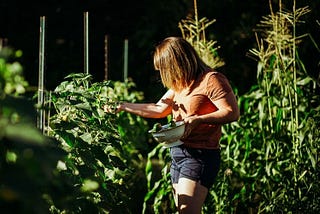 Female farmer gathering vegetables from the garden. Slow Living with Stacey Langford.