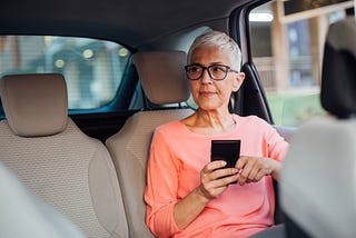 horthair businesswoman sitting on the back seat