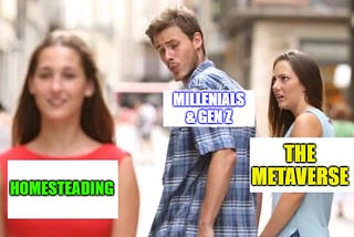 Funny meme depicting a man labeled Millenials and Gen Z looking at a woman labeled Homesteading, instead of a woman behind him, glaring, labeled The Metaverse.
