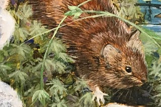 Painting of a small, brown rodent