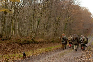 A group of trackers heading into the forest.
