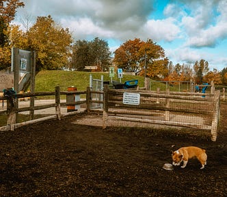 Cedarvale Dog Park - Second Off Leash Area with partial fence