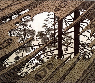 MC Escher: Puddle