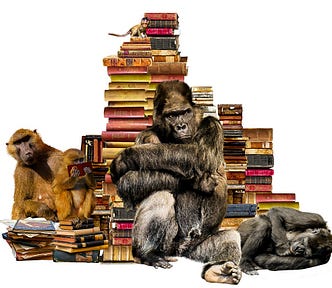 Monkeys climbing on a stack of books