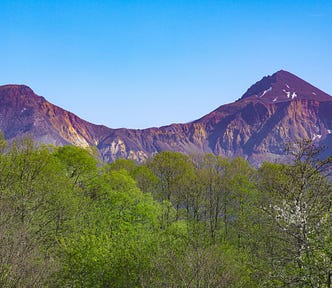 Rugged mountain and blue sky fronted by green treetops.