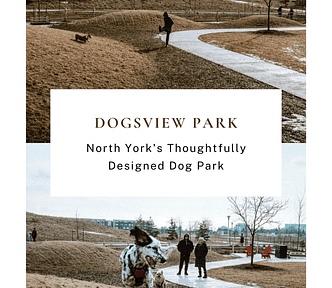 Is Dogsview Park (Downsview Dog Park) North York's Best Designed Dog Park? Downsview Dog Park | Dogsview Park - An experience-designed 2-acre dog park located in the massive 291-acre Downsview Park. This is the best-designed dog park in North York for dog owners looking to relax and enjoy their off-leash experience.