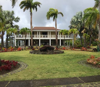 A colonial style building flanked with amazing plants and palm trees with a large fountain in front.