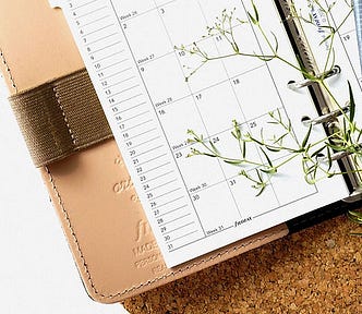 A monthly planner in a brown leather case, with a grey pen on it and a plant over it.