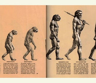 A progression from chimp to human