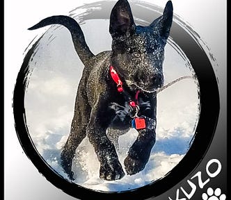 Image of a cute puppy running through the snow. In the corner it says “Kuzo” and there’s a paw print.