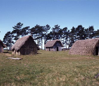 Four thatched-roof wooden huts stand on a grassy field with scattered logs, set against a backdrop of pine trees under a clear blue sky.