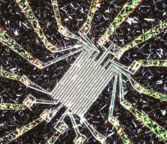 A neuromorphic nanowire network