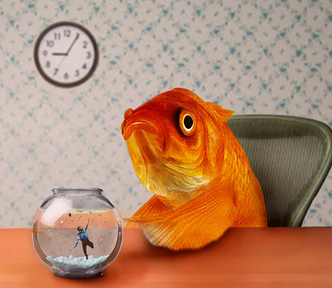 A big golden fish sits upright on a chair in a room, leaning onto a wooden table. On the table there is a fishbowl with a small human inside. Behind the fish, on the wall, there is wallpaper and a clock. The image gives a sense of out-of-placeness.