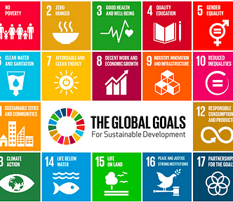 UN Sustainable Development Goals Graphic