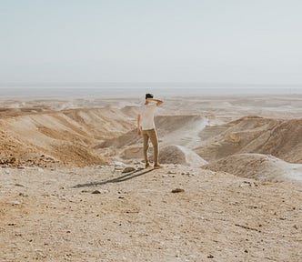 Man looking at desert.