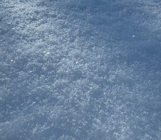 freshly fallen snow crystals