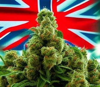 Image of cannabis plant and UK flag (created with Photoleap AI app, so they may own this; use of the app is not an endorsement; use at your discretion).