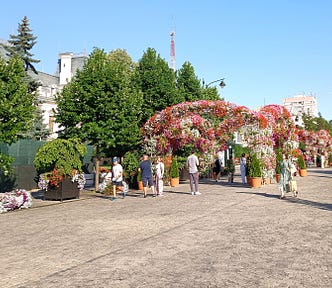 A makeshift flower arrangement covers the main street in Iași (Romania) on a hot summer day [Photo: ©Vickey Maverick]