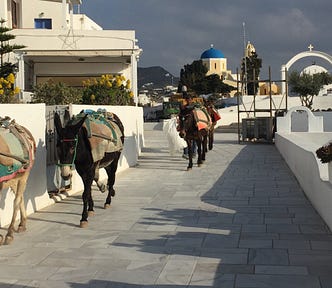 3 Donkeys walk down a sidewalk with a blue topped building in the background.