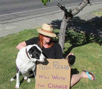 writer and dog begging for reads