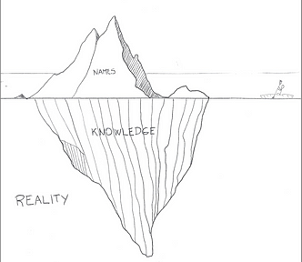 An iceberg floating in the ocean. The sea has a label of “Reality”. The submerged portion of the iceberg has a label of “Knowledge”. The portion of the iceberg above the waterline has a label of “Names”. A sticky figure sits on a tiny canoe to the right of the iceberg, representing what could be a software developer.