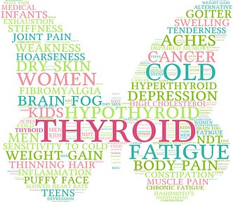 A butterfly shape resembles a thyroid gland shape and contains a word cloud with the most frequent thyroid disorders and symptoms: cold, dry skin, fibromyalgia, fatigue, body pain, weight gain, thinning hair, puffy face, swelling, cancer, goiter, etc.