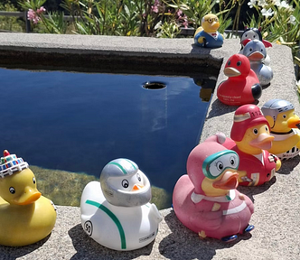 a-row-of-rubber-ducks-sitting-on-top-of-a-cement-wall