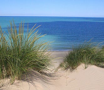 View from on top of a golden sand dune covered in tall grass, looking out at the blue waters of Lake Michigan.