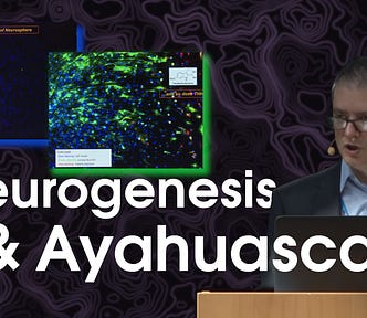 scientist effect of ayahuasca on neurons